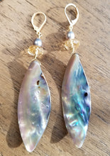 Load image into Gallery viewer, Shell earrings